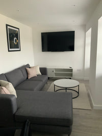 Modern living room with gray sofa, TV, and decorative items.